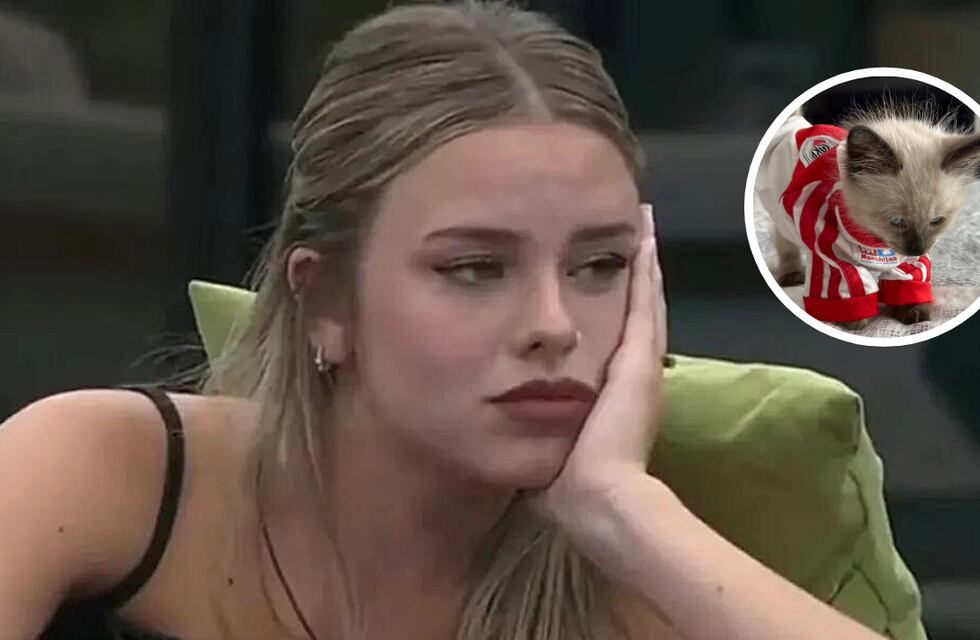 El mal momento que pasó Coti Romero luego de que su gato se accidentara: “soy madre luchona”