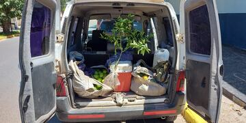 Robo de citrus en Chajarí