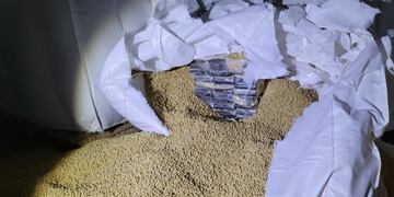 Secuestraron más de 1.500 kilos de cocaína escondidos en un galpón de Rosario.