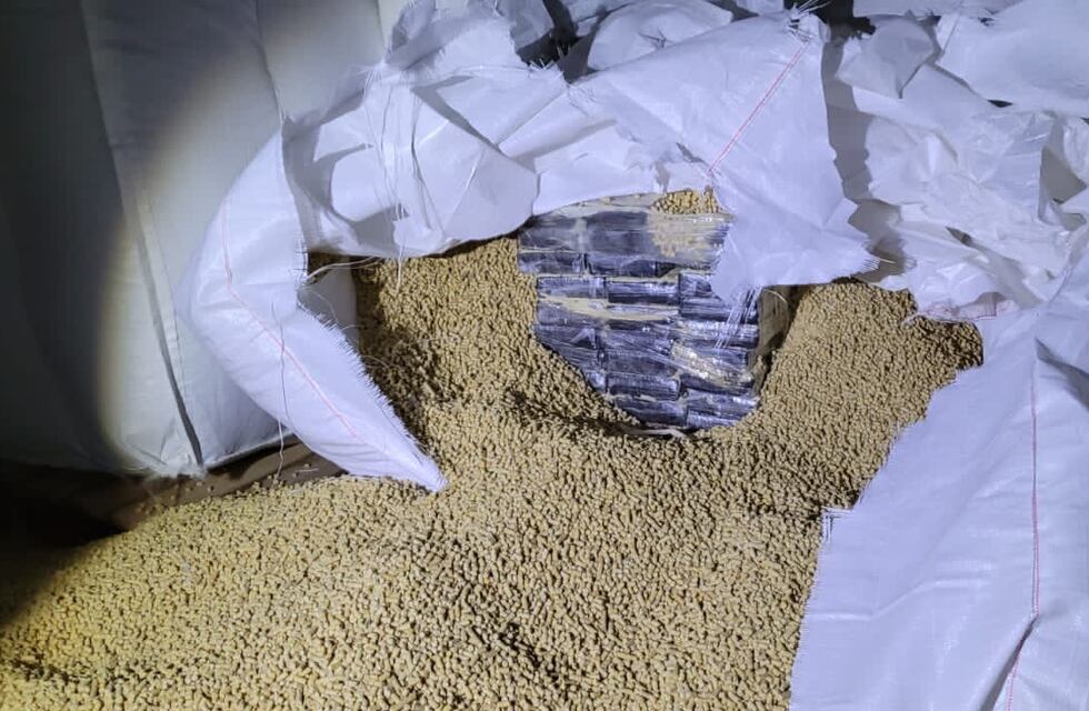 Así escondían en Rosario los paquetes “Louis Vuitton” con cocaína dentro de bolsas de alimento balanceado