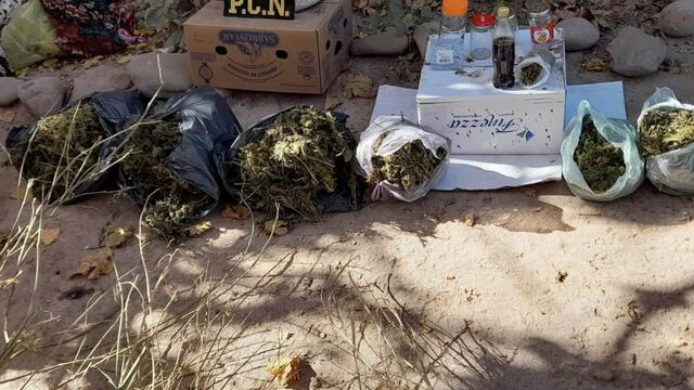 Secuestro de hojas y cogollos de marihuana en una casa en Maipú.