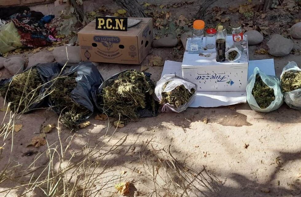 Secuestraron más de 11 kilos de marihuana en una casa en Maipú