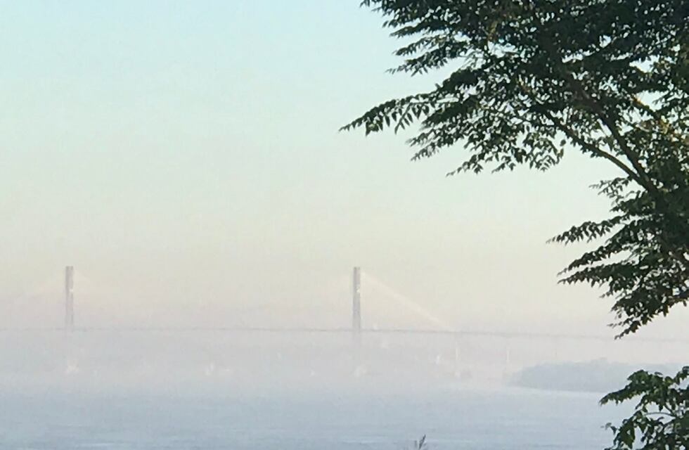 Volvieron los incendios en las islas y denuncian falta de control