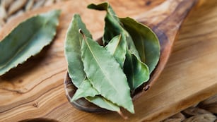 Según el Feng Shui: cómo atraer la abundancia al hogar con solo una ramita de laurel.