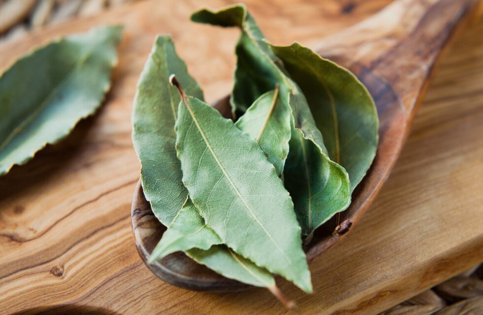 El tierno cartel viral de La Plata: una niña regala hojas de laurel a sus vecinos para hacer ricas salsas