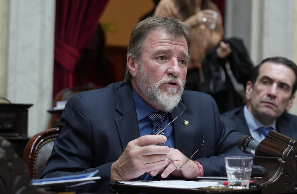 Ley Bases: el radical Jorge Rizzotti confirmó su voto, pero criticó al Gobierno