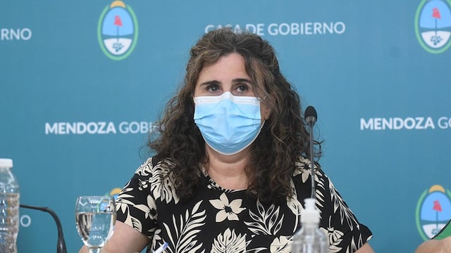 La Ministra de Salud de Mendoza explicó los nuevos criterios para realizarse el test de Covid-19 y quienes se considerarán positivos.
Foto:José Gutierrez / Los Andes