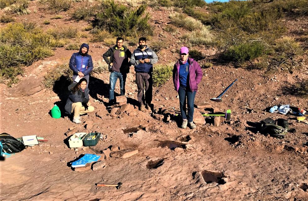 Neuquén: científicos dieron a conocer un nuevo yacimiento de huellas de dinosaurios