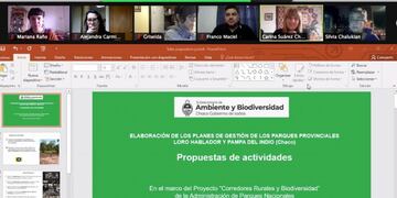 La provincia del Chaco impulsa, a través del Plan Provincial de Biodiversidad, un taller virtual con el sector académico (Universidades, Conicet) y Organizaciones No Gubernamentales (ONG).