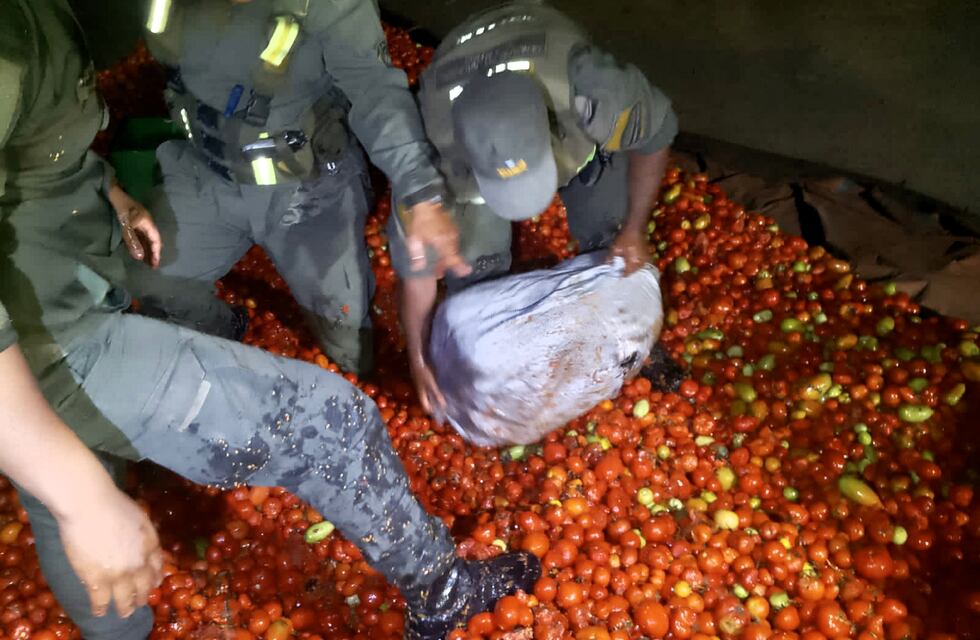 “Jenny” halló un “alucinante” cargamento de tomates en Jujuy