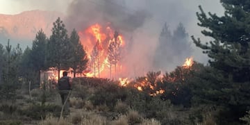 El incendio se inició el 24 de enero en la zona de El Bolsón (Télam).