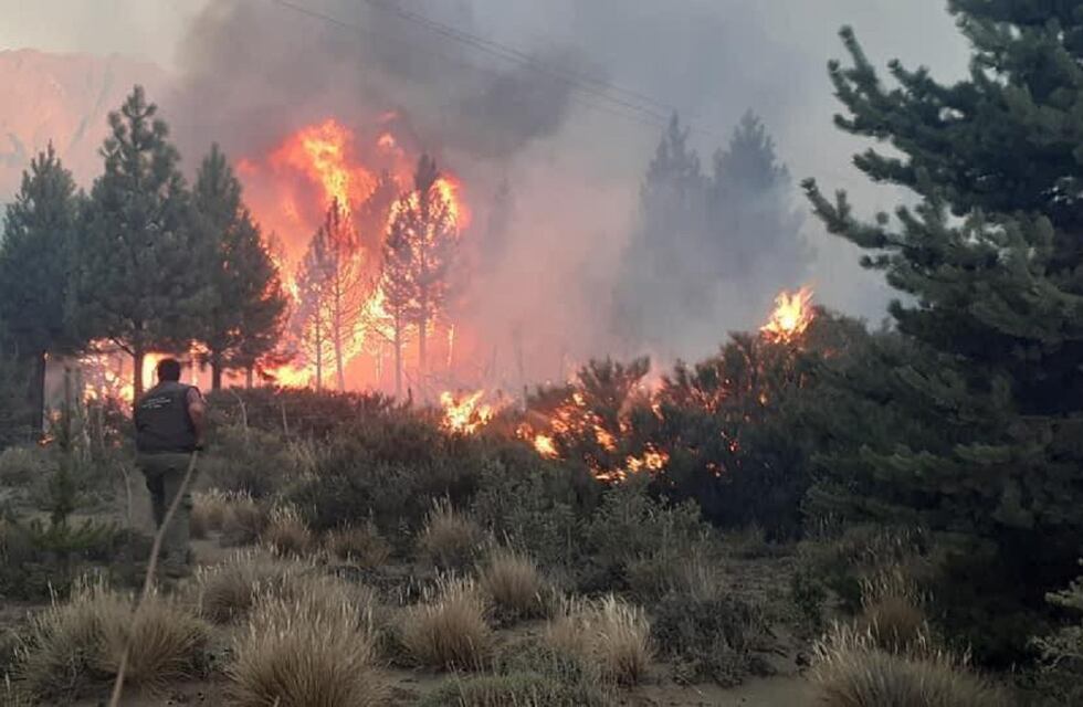 Por hacer tortas fritas y apagar mal el fuego, incendiarion más de 6 mil hectáreas en El Bolsón