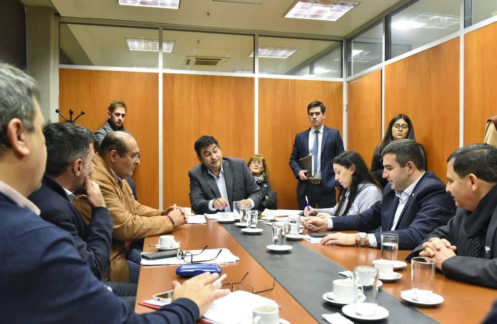 Dictamen legislativo para Instituto de Fomento para el Crecimiento y Fortalecimiento del Limón