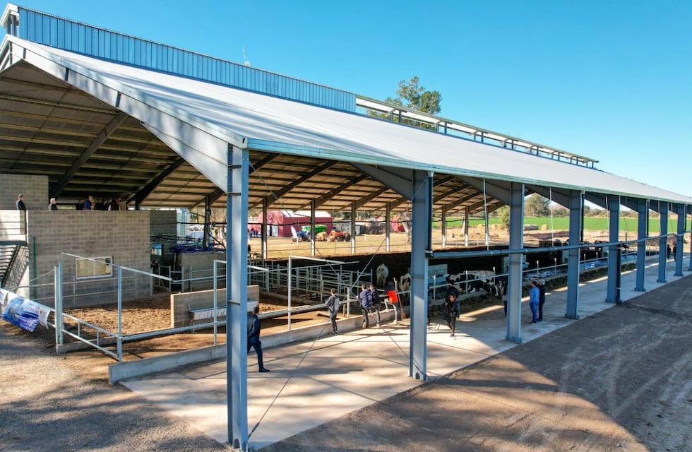 Único en América Latina: cómo es el primer tambo robotizado de Córdoba