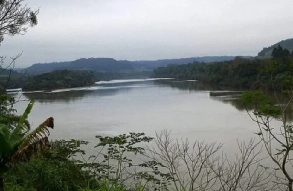 El Soberbio: casi diez toneladas de soja fueron incautadas