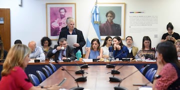 Las comisiones de Legislación del Trabajo y de Mujeres y Diversidad de Diputados abrieron el debate sobre licencias parentales. Foto: HCDN.