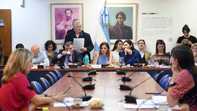 Las comisiones de Legislación del Trabajo y de Mujeres y Diversidad de Diputados abrieron el debate sobre licencias parentales. Foto: HCDN.