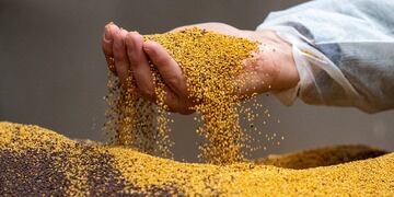 Imagen ilustrativa (Armin Weigel/DPA)