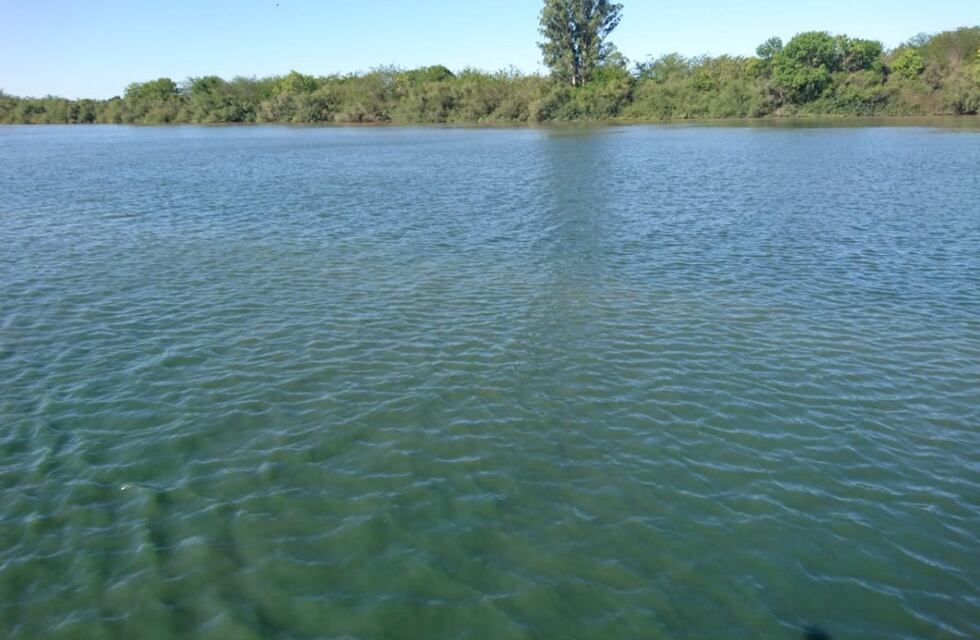 Alertan a los vecinos por la presencia de algas en el Río Gualeguaychú