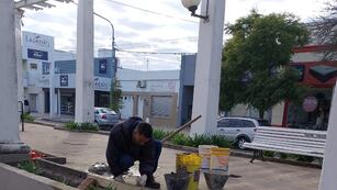Arreglos en la Pérgola