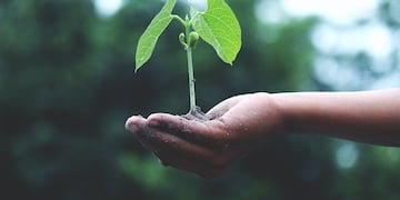 Cuidar el ambiente