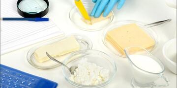 Quesos de Tandil: el laboratorio lácteo de la UNICEN logró un hito a nivel nacional