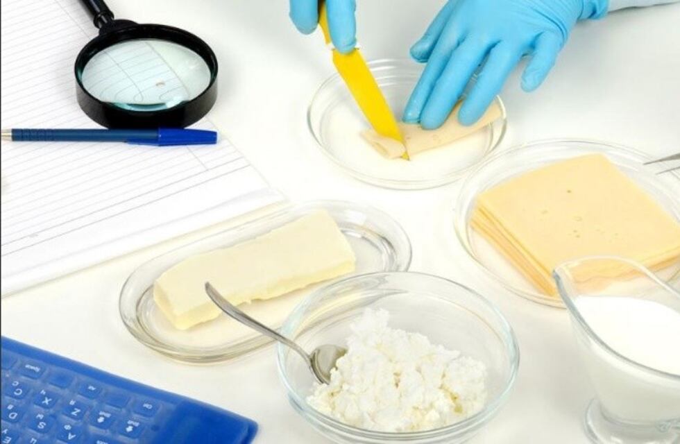 Quesos de Tandil: el laboratorio lácteo de la UNICEN logró un hito a nivel nacional