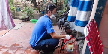 La Municipalidad reforzó los operativos de fumigación y descacharrado.