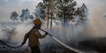Incendios en Corrientes. (Archivo/Télam)