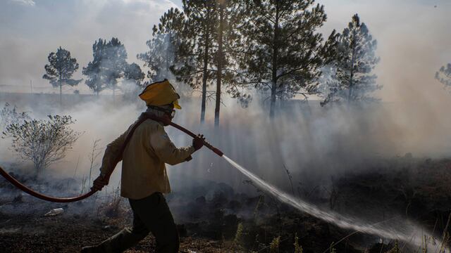 Incendios en Corrientes. (Archivo/Télam)