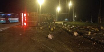 Un camión con rollos de pino volcó en Puerto Esperanza.