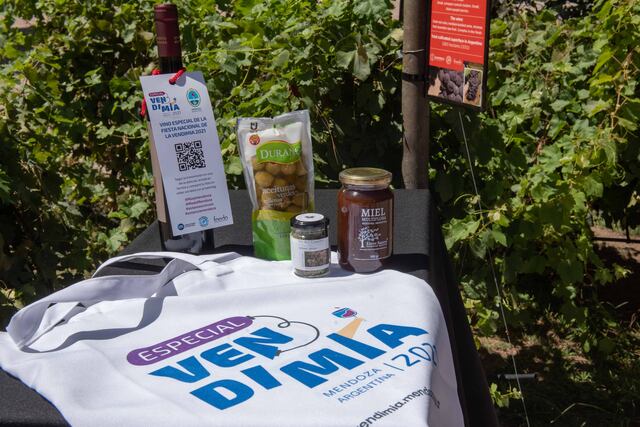 El especial audiovisual "Historias de Vendimia" podrá disfrutarse en más de 200 Puntos Vendimia dispuestos en todo el mundo. Foto: Gobierno de Mendoza.