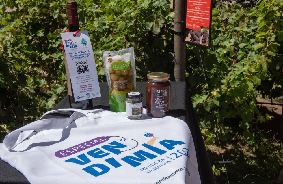 En pocas horas se agotaron las entradas para varios Puntos Vendimia y agregarán más funciones en cines