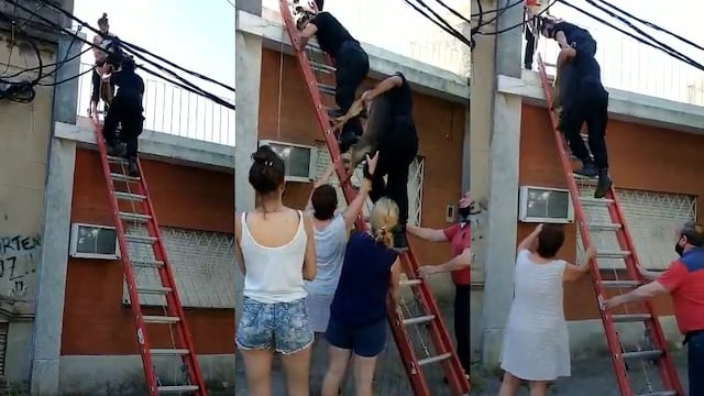 A la mascota le pusieron correa para poder bajar con ella sin ponerla en peligro. (La Capital)