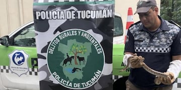 Intervino la División Delitos Rurales y Ambientales Norte N° 4 tras el aviso en Lomas de Tafí.