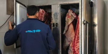 La Provincia decomisó 300 kilos de carne proveniente de una faena clandestina.