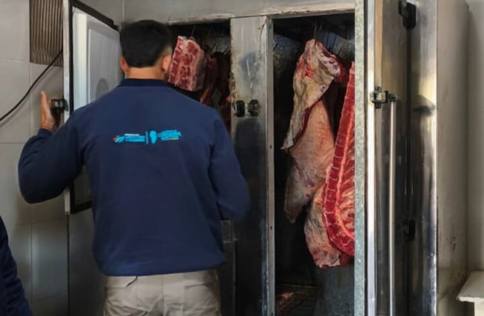 Faena clandestina: secuestran más de 300 kilos de carne en mal estado en Córdoba