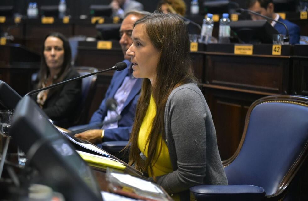 La diputada Abigail Gómez solicitó que jubilados y pensionados nacionales de Coronel Rosales accedan a bonificaciones por zona fría