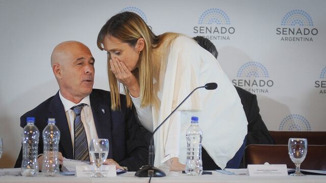 El senador Bartolomé Abdala, de La Libertad Avanza, reveló cuántos asesores tiene (Foto: Federico López Claro)