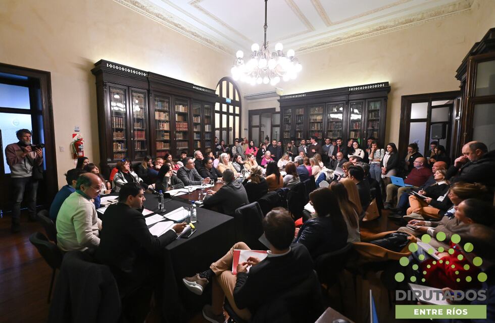 Diputados iniciaron el tratamiento del proyecto para crear la Obra Social de Entre Ríos