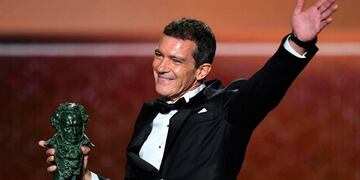El año pasado, Antonio Banderas ganó el premio a mejor actor por Dolor y gloria