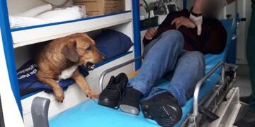 Posadas: se desvaneció en la vía pública y su perro lo acompañó en la ambulancia hasta el hospital.