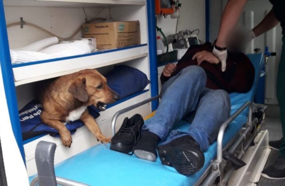 Posadas: se desvaneció en la vía pública y su perro lo acompañó en la ambulancia hasta el hospital