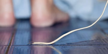 Una mujer recibió una descarga eléctrica en su domicilio de Puerto Iguazú.