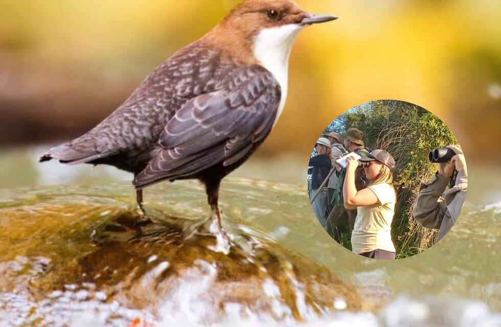 October Big Day: una jornada para celebrar la naturaleza