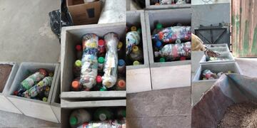 La Escuela Carolina Tobar García realiza bancos ecológicos