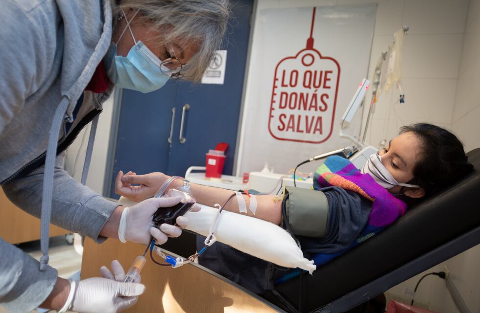 Proponen campaña masiva de donación de plasma