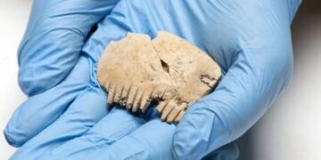 El pequeño elemento hallado está tallado como un peine y hay muchas hipótesis al respecto. Foto: Science Alert.