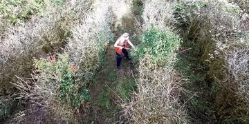 El Laberinto Vegetal del Parque Juan Vortisch en Montecarlo no abrirá al público este año.