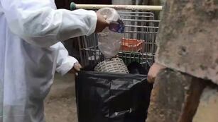 La lucha contra el dengue no cesa en Jujuy.